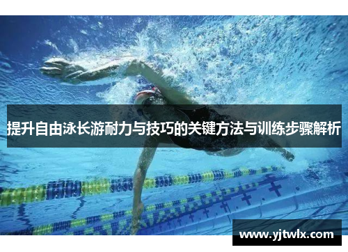 提升自由泳长游耐力与技巧的关键方法与训练步骤解析