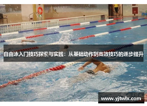 自由泳入门技巧探索与实践：从基础动作到高效技巧的逐步提升
