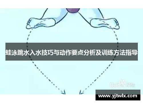 蛙泳跳水入水技巧与动作要点分析及训练方法指导